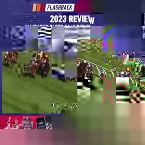 7.5K views · 212 reactions | Ollie’s final G1 victory was aboard Alligator Blood in the 2023 Underwood Stakes  | Racing.com | Facebook