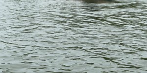 Water, water, everywhere, but...