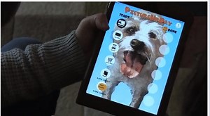 Collingswood Resident Develops Scheduling App For Caregivers, Parents, Others