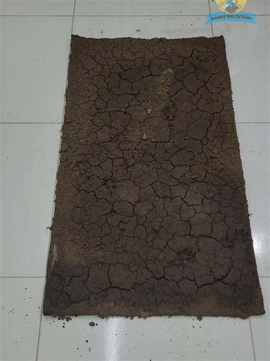 Mud Removal from Carpet - ASMR Cleaning