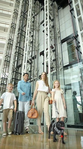 Treat the whole family to an unforgettable city staycation at Jumeirah Creekside Hotel, including your four-legged best friend | bit.ly/FB-Staycations23-JUM #TimeExceptionallyWellSpent | Jumeirah