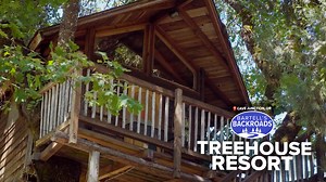 Oregon treehouse resort turns childhood dreams into high-flying getaways | Bartell's Backroads