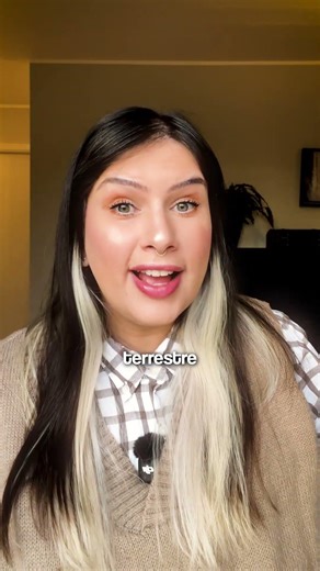 Único mamífero terrestre nativo da Islândia