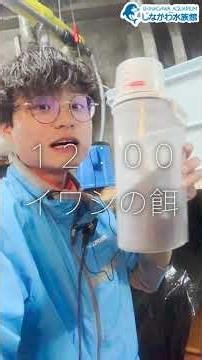 水族館飼育員のゆるゆるVlog⑩＠しながわ水族館【魚類】