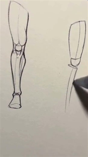 Learning to draw legs