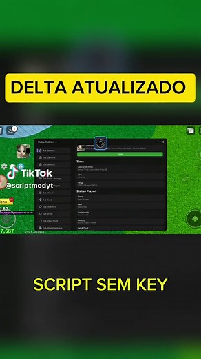 Executor Delta Atualizado 2025: Guia Completo