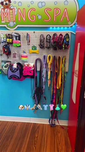 🛍️🐾 NEW PET CLOTHING & ACCESSORIES NOW AVAILABLE AT PRECISION GROOMING SPA 💚 Your pup deserves to look as good as they feel — and now you can shop everything they need in one place ✨ Now in stock: 👕 Stylish pet clothes 🦮 Harnesses & retractable leashes 👟 Dog shoes & paw protection 🧦 Socks for comfort & safety 🍗 Food & treat pouches 🛍️ Doggy bags & daily essentials From everyday basics to standout style — we’ve got your pup covered from nose to tail 🐶✨ 📍 Available now at Precision Groo