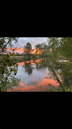 Good Evening Folks!! | Daryl Cook