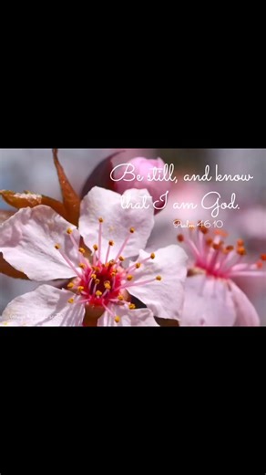 Faith, Family & Flowers! Here are some photos I took and added Bible verses to from 2016 and 2017. Most of the flowers were in my backyard. What do you think? 🌸🌿 Hiedi | DiyDreaming
