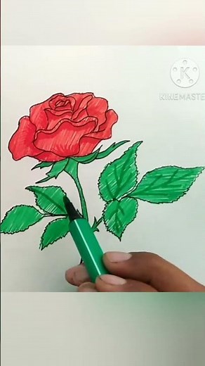 Easy Rose Drawing Step by Step 🌹 #shorts