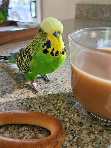 Coffee Spill Slow Motion Fail