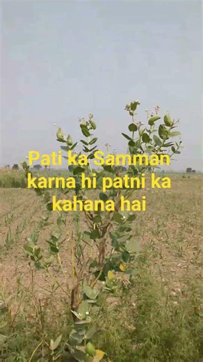 Pati ka Samman karna hi patni ka gahna hai #motivation #youtubeshorts #viralvideo