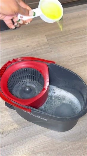 Satisfying Mop Reset Routine