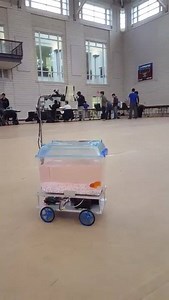 The direction and speed of the robot is determined by the position of the fish relative to the middle. | Rationalist