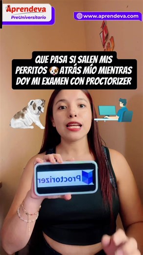 ¿Qué hacer si mi perro interrumpe el examen en Proctorizer?