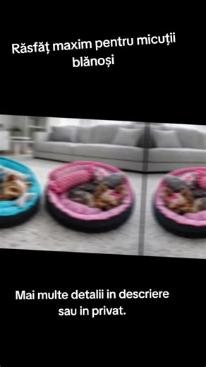 🩷Răsfăț la superlativ pentru cei mai mici membri ai familiei 🐾 🩵Aceste pătuțuri handmade sunt create special pentru confortul și liniștea cățeilor de talie mică. 🩷Designul rotund oferă o senzație de siguranță, iar pernele moi și bine umplute susțin corpul într-o poziție naturală, perfectă pentru un somn profund și relaxant. 🩵Materialele sunt atent alese, plăcute la atingere și rezistente, ideale pentru utilizare zilnică. Culorile elegante bleu și roz se integrează armonios într-un living mo