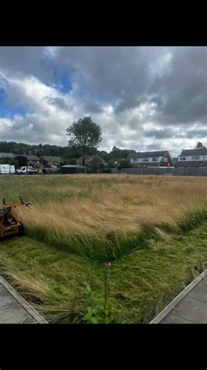 Rowan Tree Gardening services on TikTok