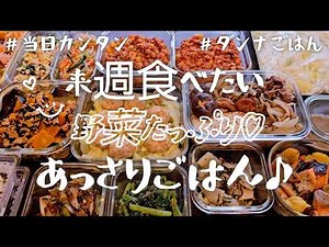 【作り置き11品】野菜がたっぷり食べられる！食べたいあっさりガッツリ♪/大根サラダ/ごま和え/白和え/そぼろ煮/蒸し