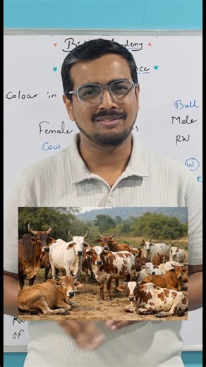 Bionexus Academy 🧬 on Instagram: "Co - Dominance | Inheritance and Variation | Genetics | MHT-CET | NEET | Class 12 Science A detailed explanation on Co - Dominance. Do watch full video on YouTube: https://youtu.be/ugbBQ3yVjl4 📚 NEET | MHT-CET | HSC Biology Subscribe to our Youtube channel: https://youtube.com/@bionexusacademy-x6e?si=uucHAP1lObWVFymR Follow us on Instagram: @bionexus_academy for more learning. #bionexus #newpost #learnbiology"