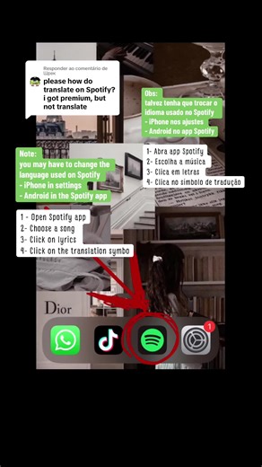 Tutorial: Translating Lyrics on Spotify