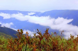 Shillong Tour Package, Cherrapunji (1D) , Mawlynnong (1D) , Shillong (2D) Starting From ₹8500 Per person | ClearHolidays