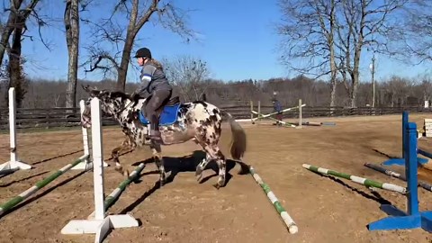 Just a short little clip of one pass through the cavaletti and raised cavaletti. Buckeye was a superstar, going through the various challenges and courses made up of multi-cavaletti. He had lots of fun and was very consistent and rhythmic throughout the entire lesson and all the challenges asked of him. I was so pleased with how well he did, after having had so much time off just hanging out in some pasture in SC. He picked up like he had never been out of work, eager to please and very rideable