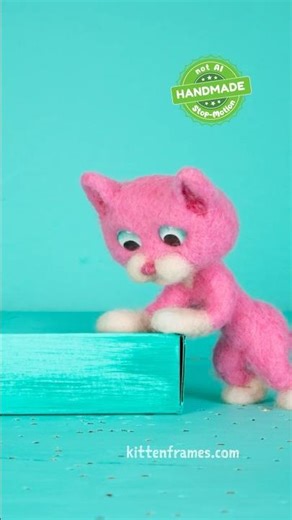 FUZZ AND THE BOX - Fuzz Investigates