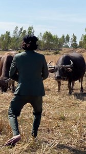 409K views · 173K reactions | Beautiful Isaan life / Thailand #thailand #issan #travel #thaifood #issanfood #mahasarakham | Koya Aroi | Facebook