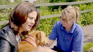 Fran meets Carlos, a dog looking for a new home.