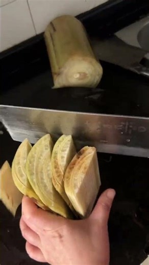 Home-Cooked Delights: Daily Kitchen Adventures
