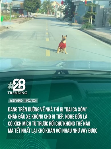 Đừng Để Anh Lớn Nóng - Tin Tức TikTok Nghệ Thuật