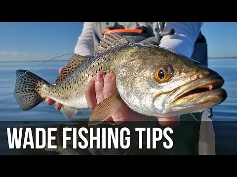 How to Catch More Fish while Wade Fishing