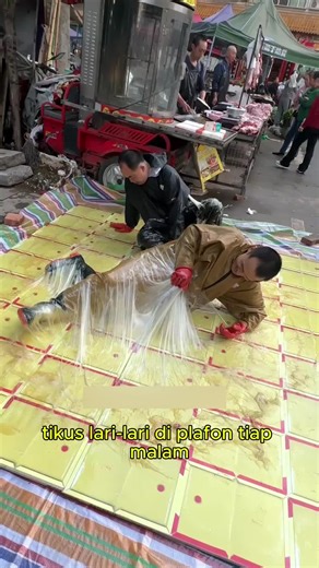 Ampuh Mengusir Tikus dengan Mudah dan Aman