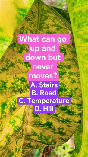 What can go up and down but never moves?