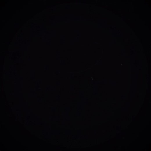 Heart attack😻 @nym メ @nymメ @leviメ #nym #template #heartattack #nym #nym #fyp #fyp #fyp #fyp #fyp #fyp #fyp #fyp #fyö