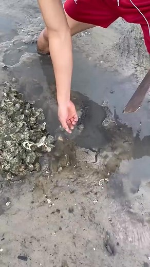 School Life on Reels