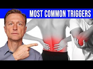 The 12 Triggers of Inflammation: The Root Causes