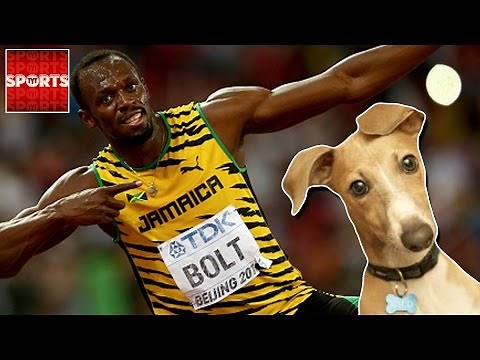 USAIN BOLT Races…DOGS?