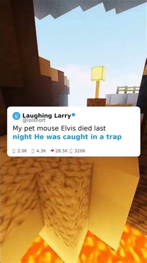 Mysterious Mouse Death 🐭!