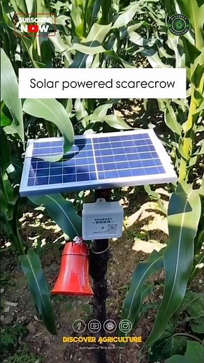 Farmer made this SOLAR Operated SCARECROW with sensors