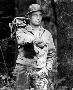 Matt Love revisits the summer of 1970, when the stars of 'Sometimes a Great Notion' mingled with the locals