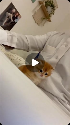 ‎إ‎ on Instagram