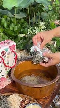 Cách Làm Sâm Bổ Lượng Vừa Ngon Vừa Bổ #thiennhanriviu #shorts #food #amthucmientay #WindNet