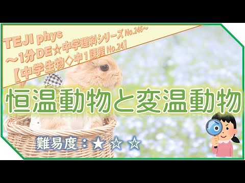 【1分DE☆中学理科シリーズ246】《中1＊生物編24》恒温動物と変温動物