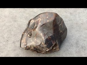 Polishing a large septarian nodule full process!!