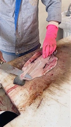 How To Fillet A Fish In Under 23 Seconds 🐟🔪🐠 #fish #fillet #fishcooking #viral