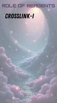 PAR-CLIP (Photoactivatable-Ribonucleoside Enhanced CLIP)