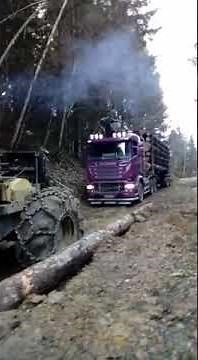 Scania grumiers