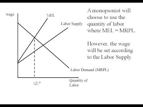 Econ - Monopsony Graph