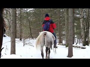Promenade a cheval 23 novembre